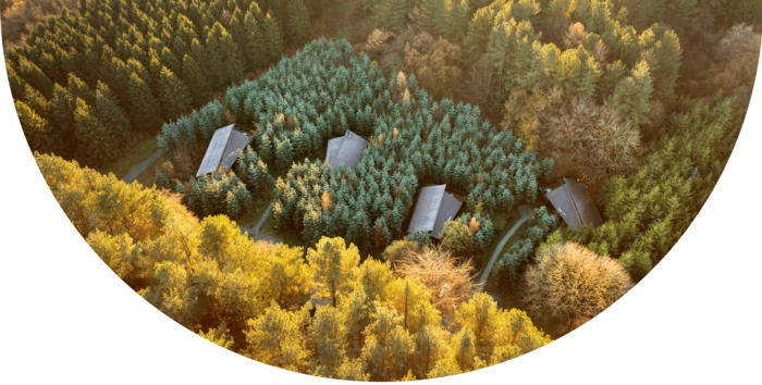 An ariel view of some cabins nestled in a forrest on a sunny autumn day